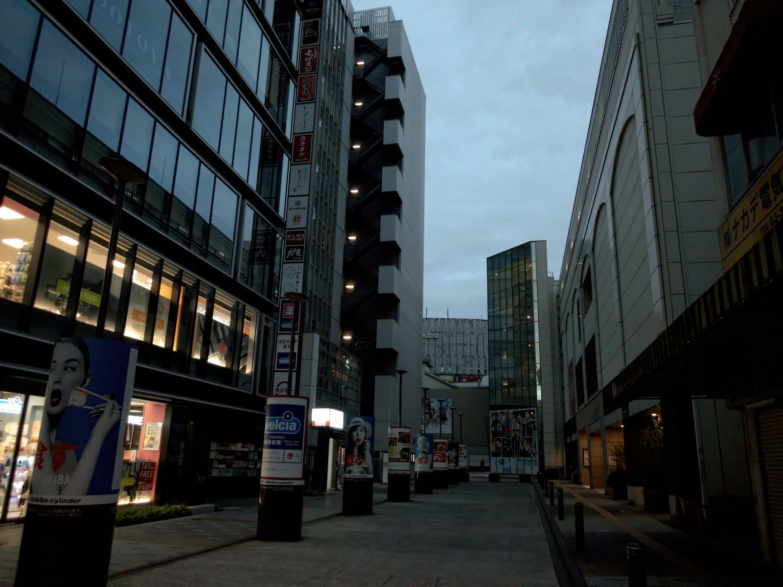 A covered pedestrian corridor in Akihabara, Tokyo, in early morning light, with shop signage illuminated and the walkway still empty before foot traffic builds.