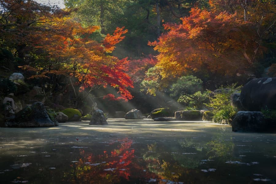 Red autumn trees beside a river in the Japanese countryside