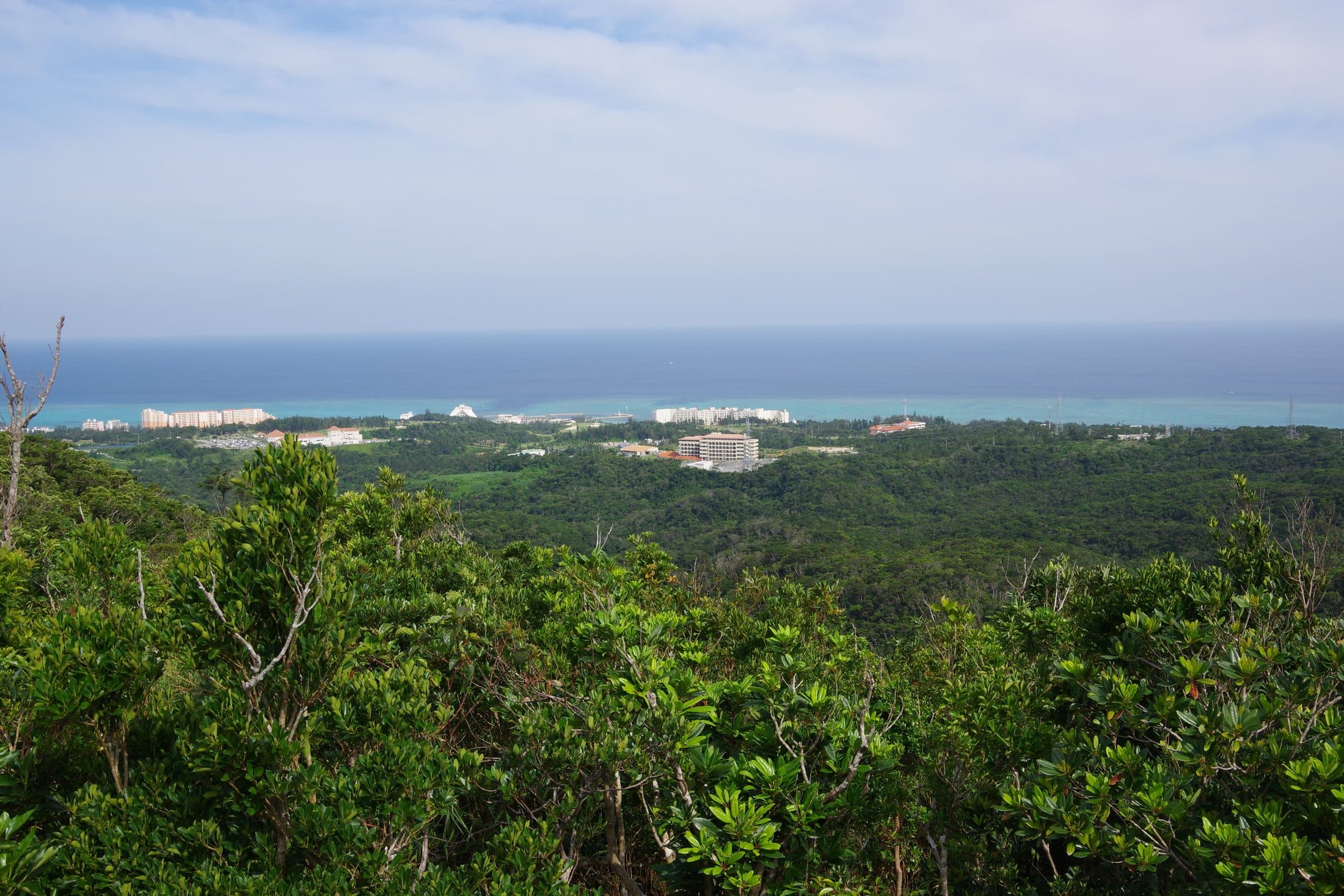 An elevated view of Onna's coastline with several resort hotels along the shore, framed by forest in the foreground.