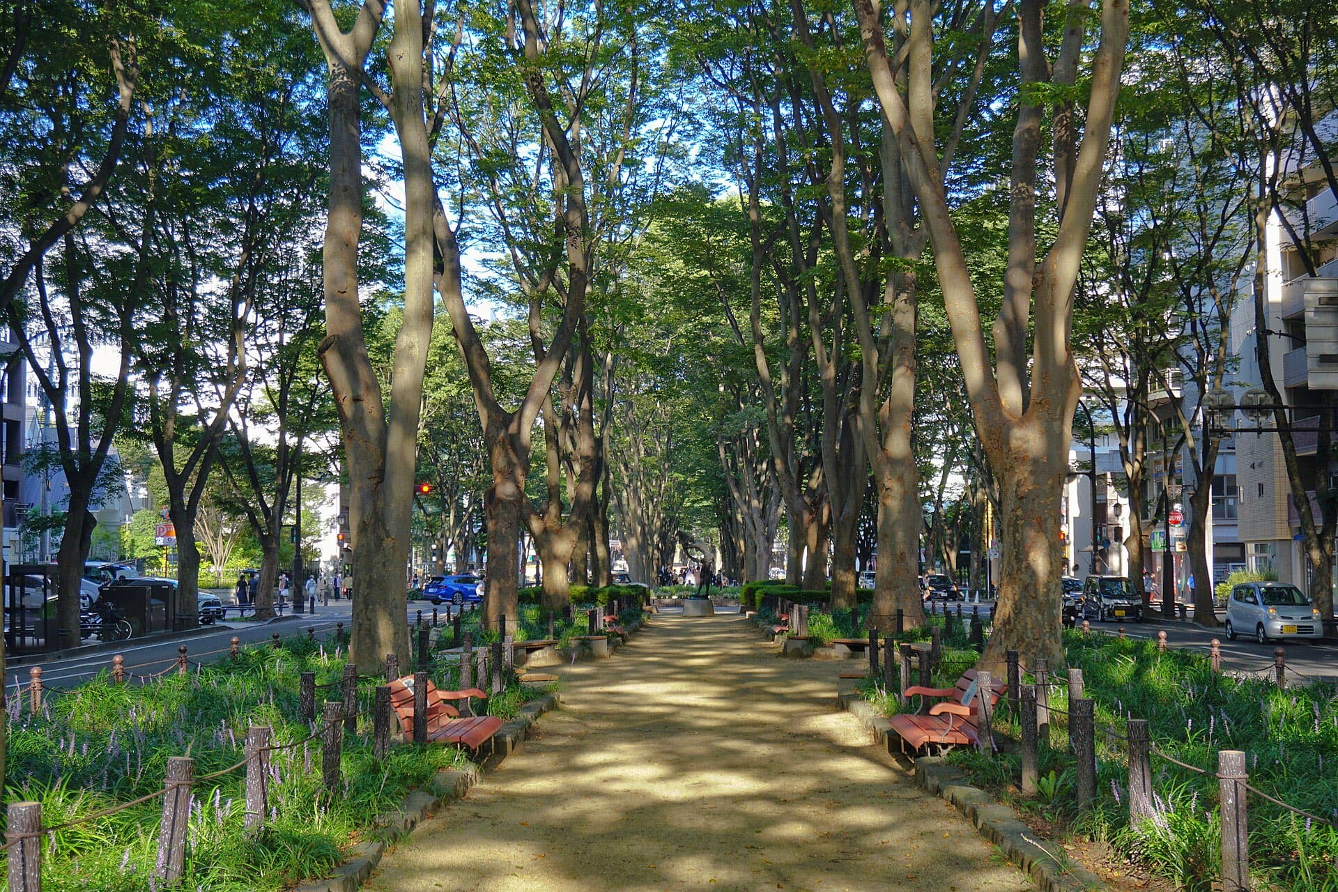 The tree-lined pedestrian path of Jozenji-dori in Sendai, with a dense green zelkova canopy, benches, and surrounding city buildings.